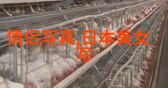 角落娱乐隐藏在日常之中的快乐探秘