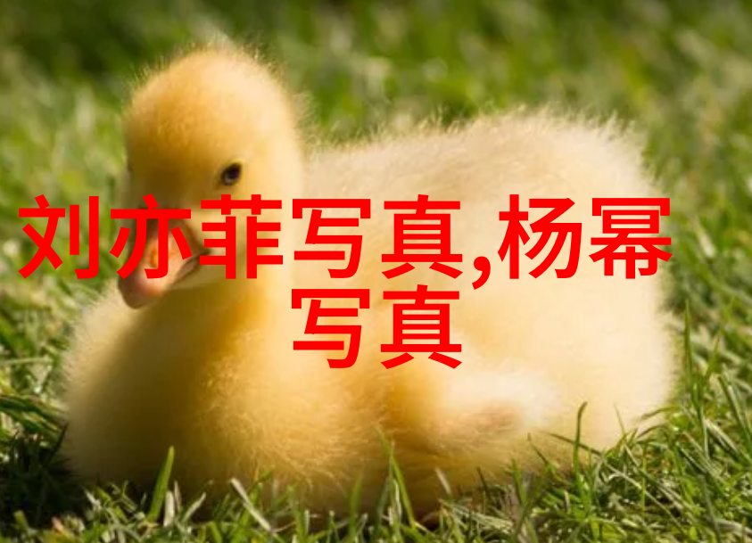台湾男人眼中的大陆女人 - 海峡两岸的女儿一场关于美丽与文化的对话