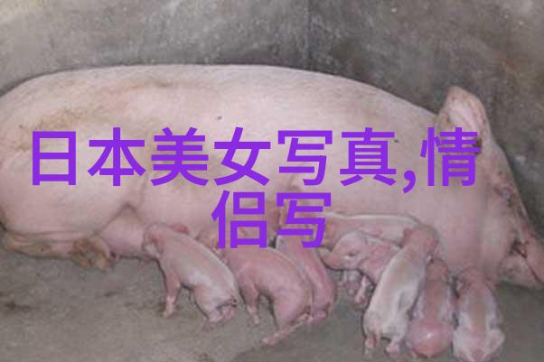 风起云涌十月双岸巨变
