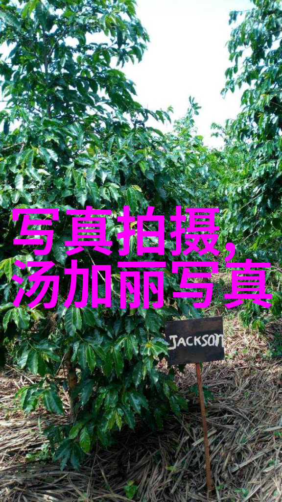 霸气帅气情侣网名撞你满怀别急之恋