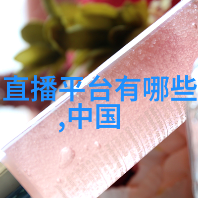 嘻哈帮舞动民族街舞代表闪耀时尚英语赛场
