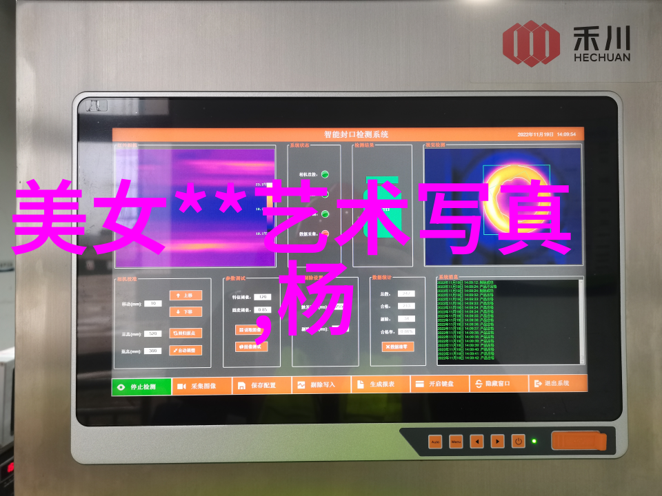 绚烂星光下的秘密娱乐圈小说揭秘