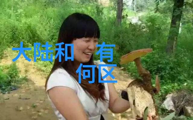 时光倒流500首经典老歌的旋律回忆