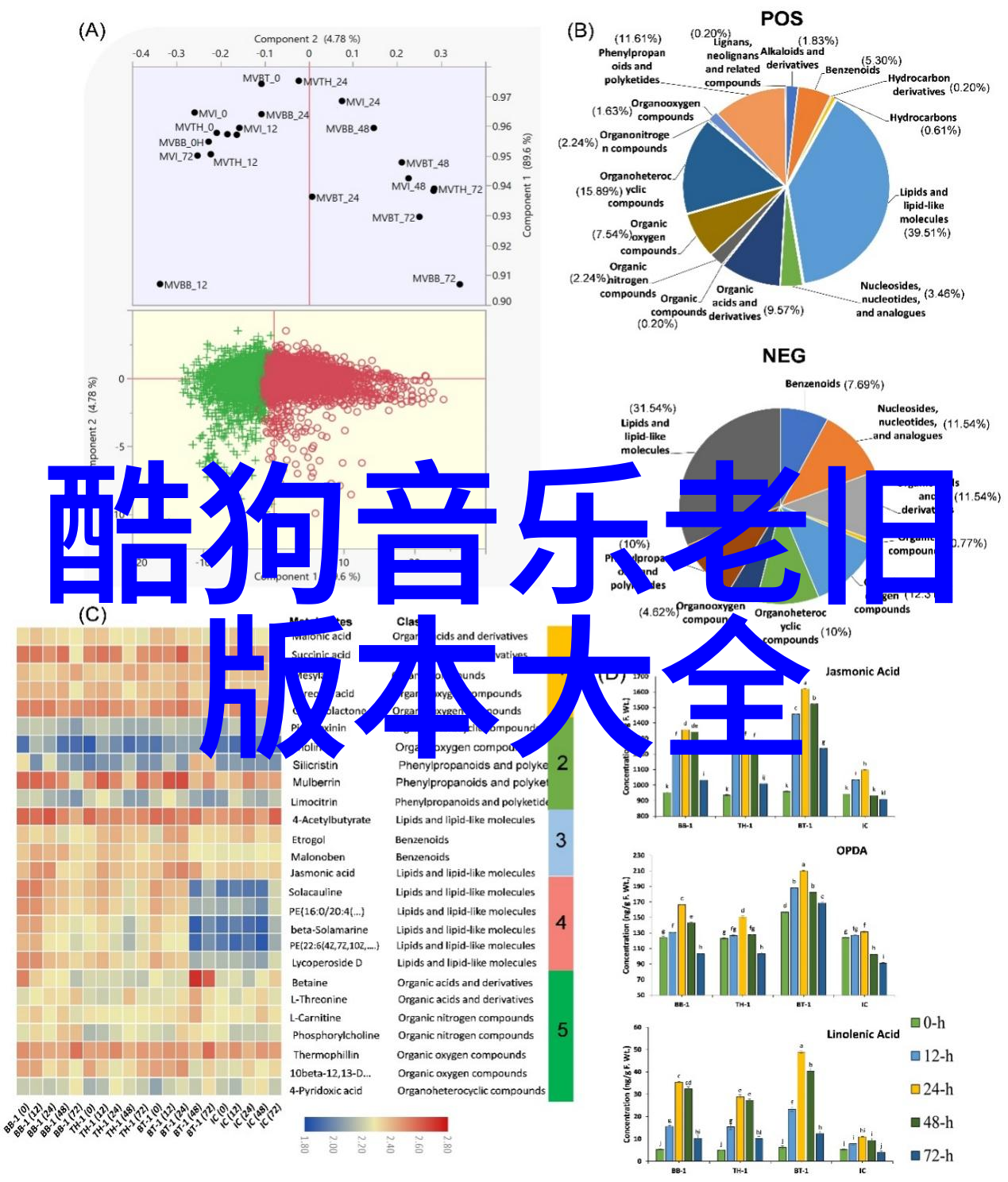 小学生心动曲最火歌曲的学校篇章