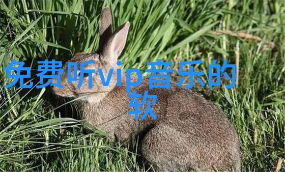电影之巅坚如磐石的艺术奇迹