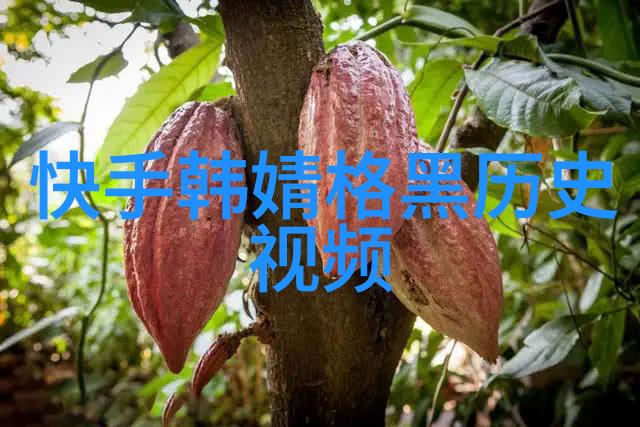 先天八卦图与后天八卦图区别揭秘你不知道的命运密码