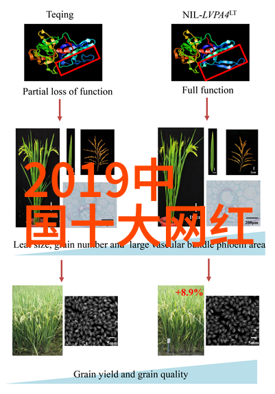 社会中我独行简短深情只为你