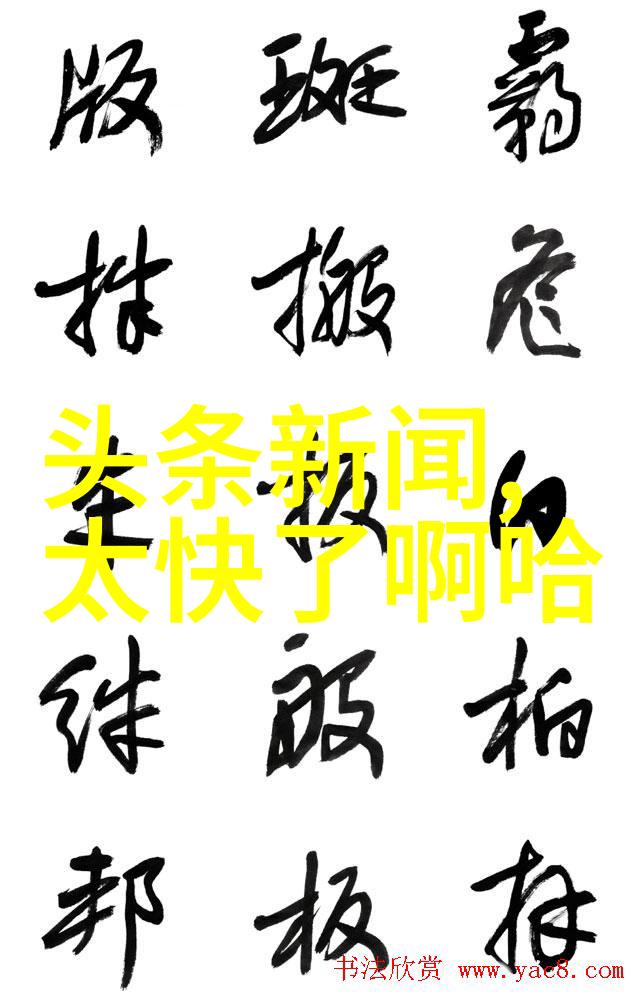 2009年电视剧回顾华丽的盛宴与深刻的反思