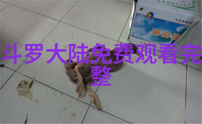 解密后天八卦罡步口诀揭秘古代武学中的智慧与技巧