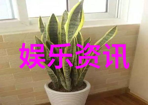 当我飞奔向你电视剧免费观看追逐梦想的快车我的免费影视之旅