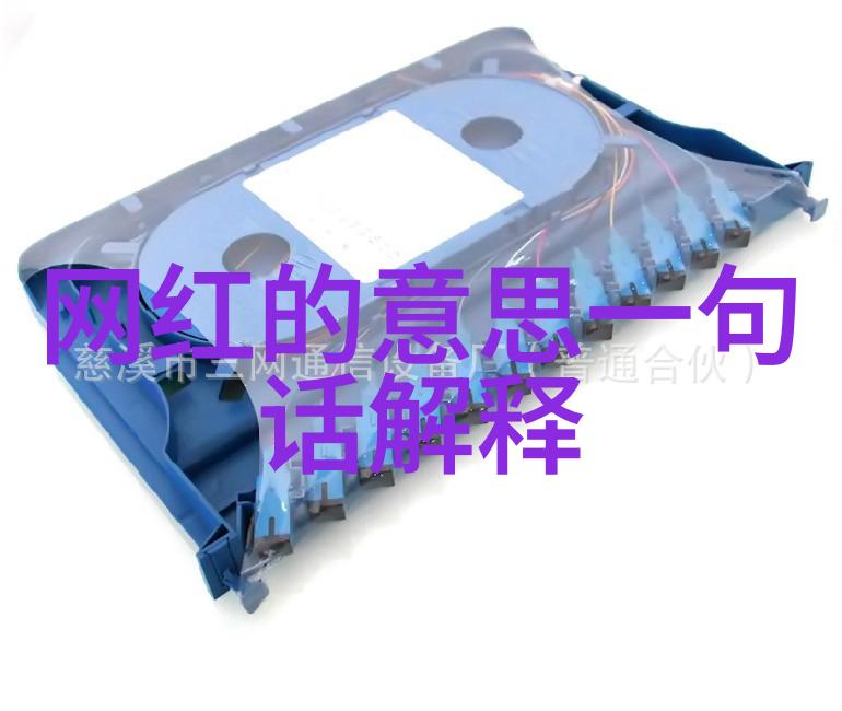 张紫妍的旱路之旅从娇花到沙漠女王