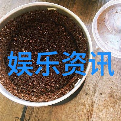 什么是时尚界最受欢迎的发丝处理技巧