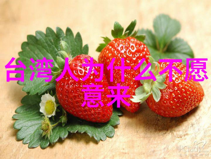 百岁金曲回忆与经典交织的老歌故事
