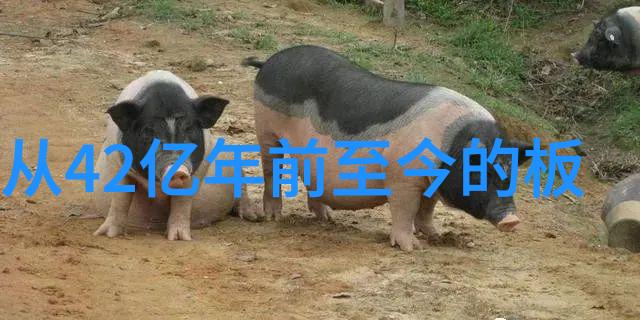 皇恩娱乐亲测必爆的炸品