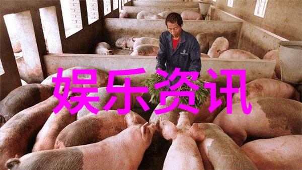 蓄谋已久PO校园-策划之星如何高效打造受欢迎的校园PO活动