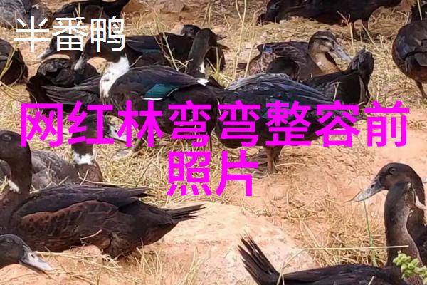 情欲写真我与你的故事一场爱的深度摄影