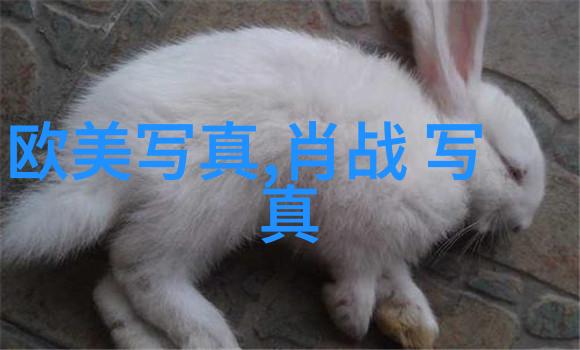 阿里郎组合如人格魅力般再次发声在这个免费音乐下载软件的世界里只有那些无私分享全免费精神的朋友才是真正