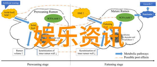 在信息爆炸时代网红成了我们生活中的主要内容吗