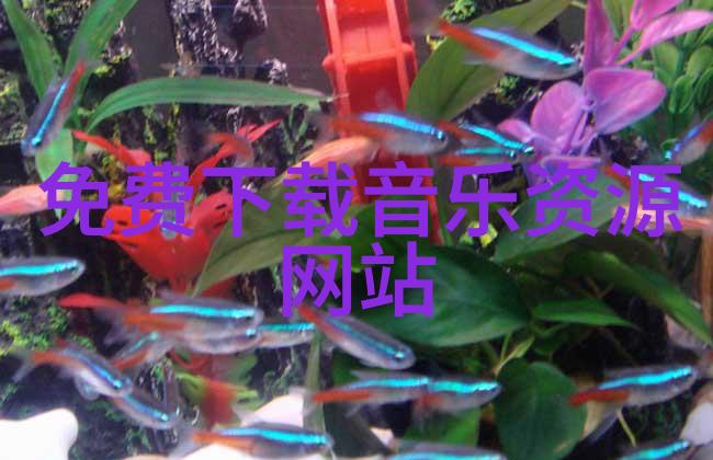 群飞刘亦菲刘诗诗杨幂杨颖中国影视界四位女星的闪耀轨迹