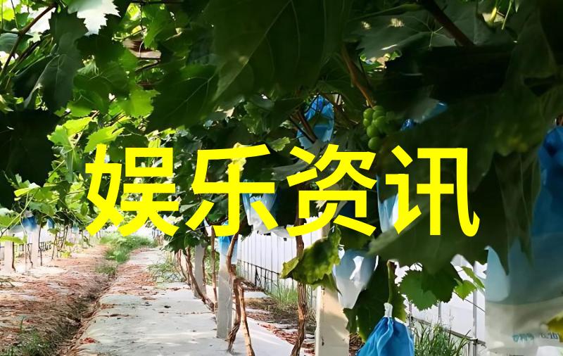 翠绿山峦间的清泉流淌