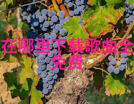 八卦图入门教学我来教你什么是八卦图