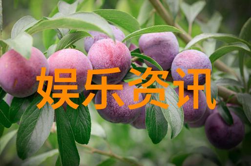 今日头条下载安装指南一键解锁新闻资讯
