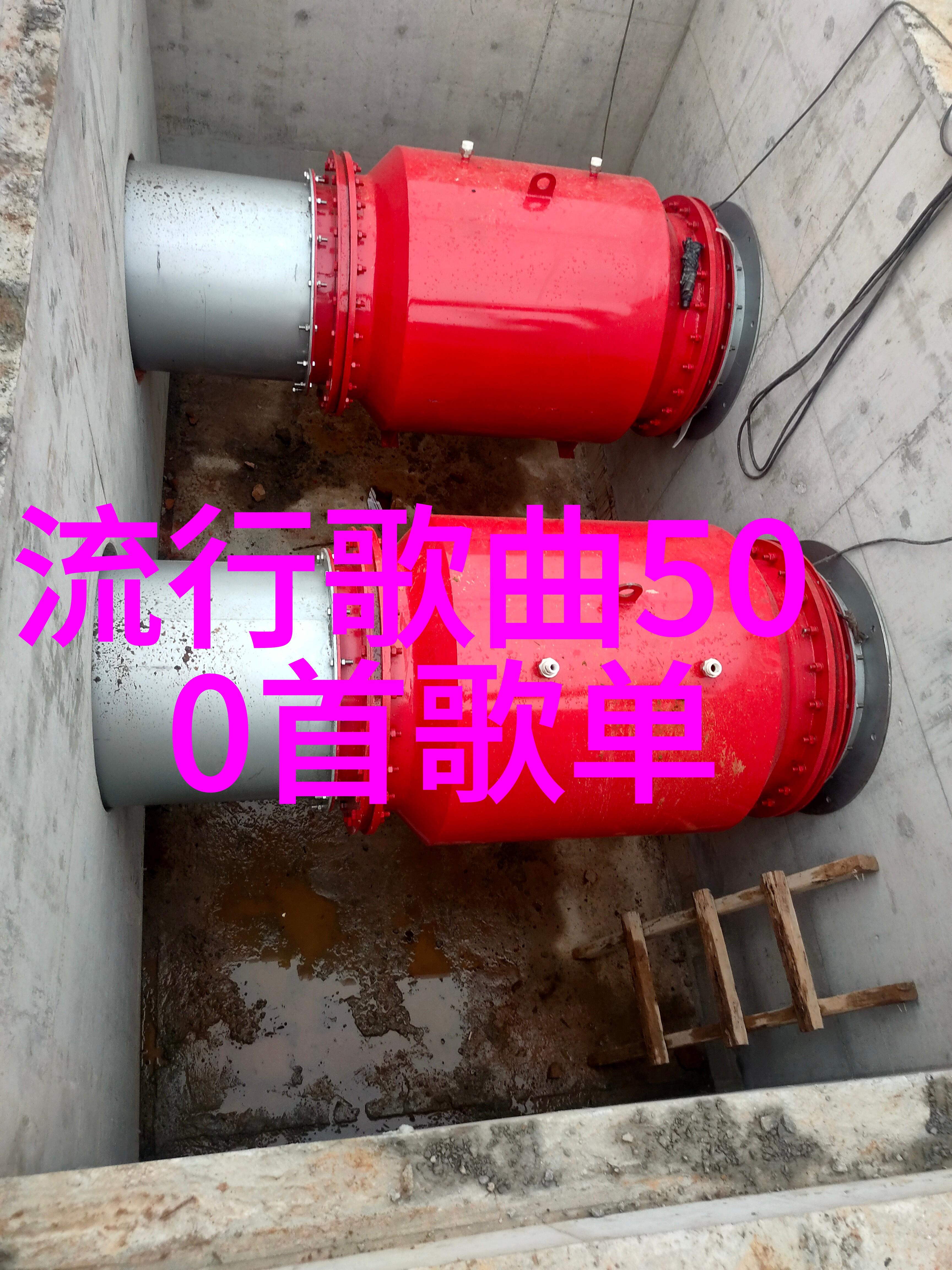 主题-禁忌之网揭秘18岁末年禁止观看的免费网址