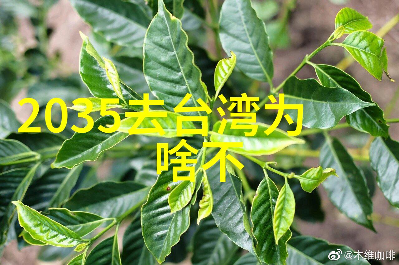 音乐风潮2022年最热门的流行歌曲汇总