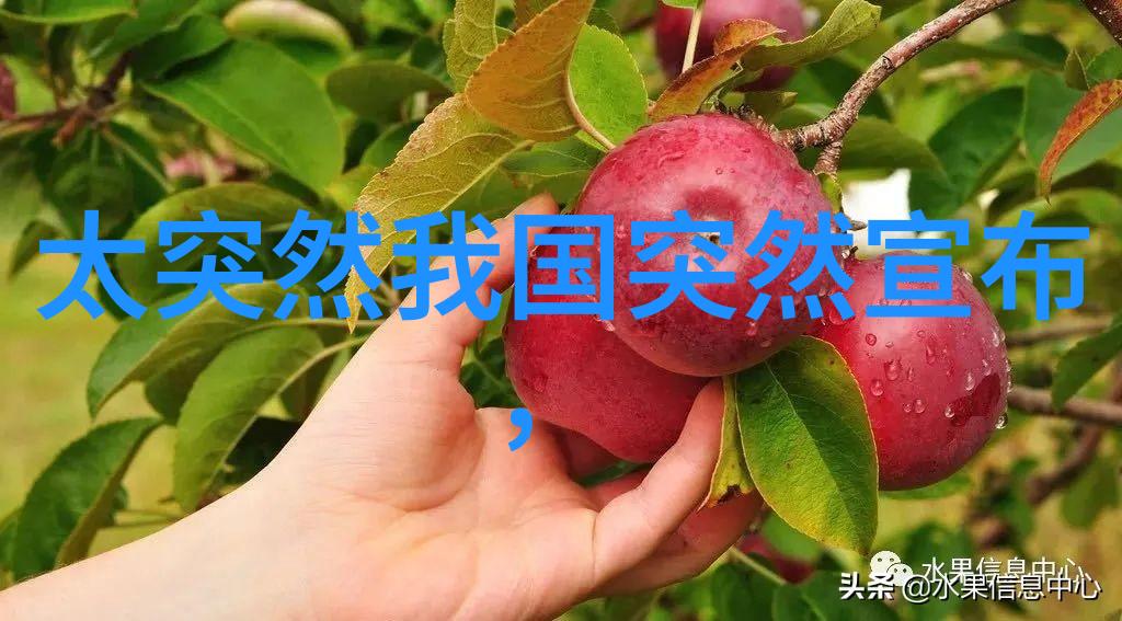 十年一品温如言最后的真相犹如电影中的镜头一经曝光便不可磨灭37的民众评分与15的专业点赞如同两种不同