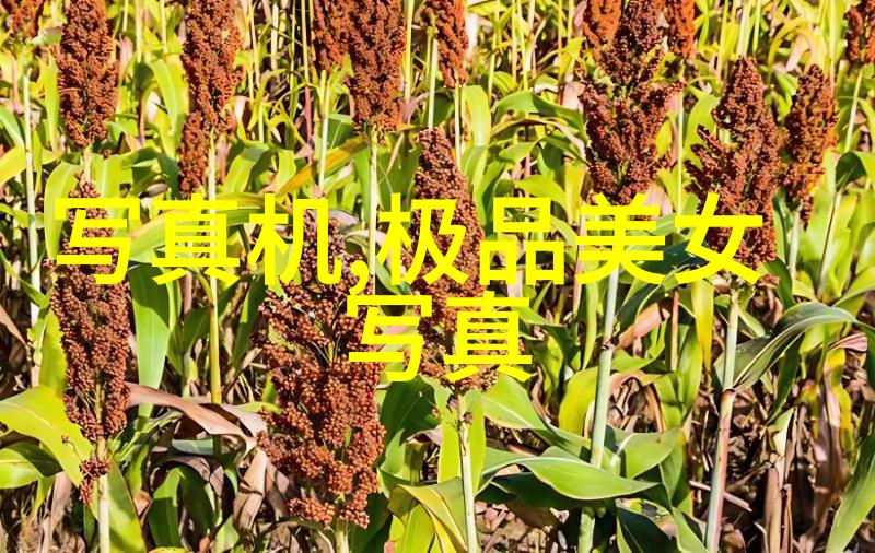 自我学习视频教程从零到英雄我是如何用一张夹枕头做出爆款视频的