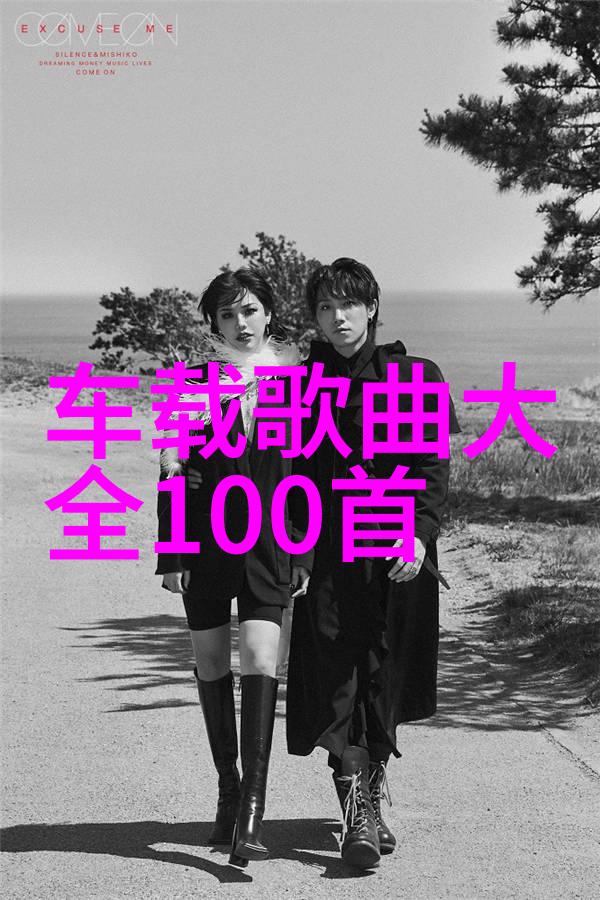 美少年学社青春修养与才艺展现的殿堂