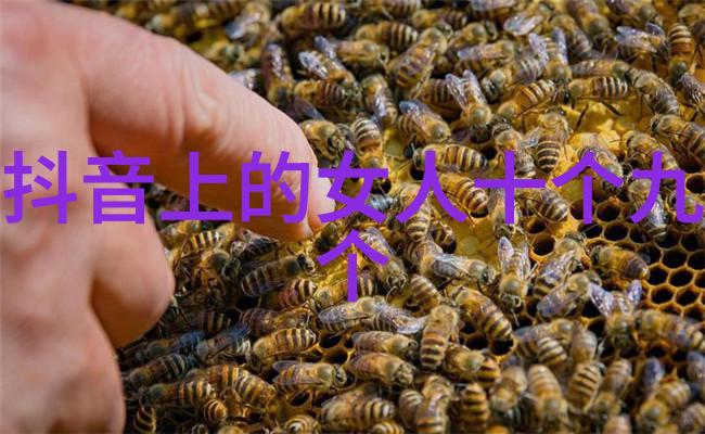 电影节争议-封神在威尼斯上映遭遇冷遇全球华语影坛的尴尬之举