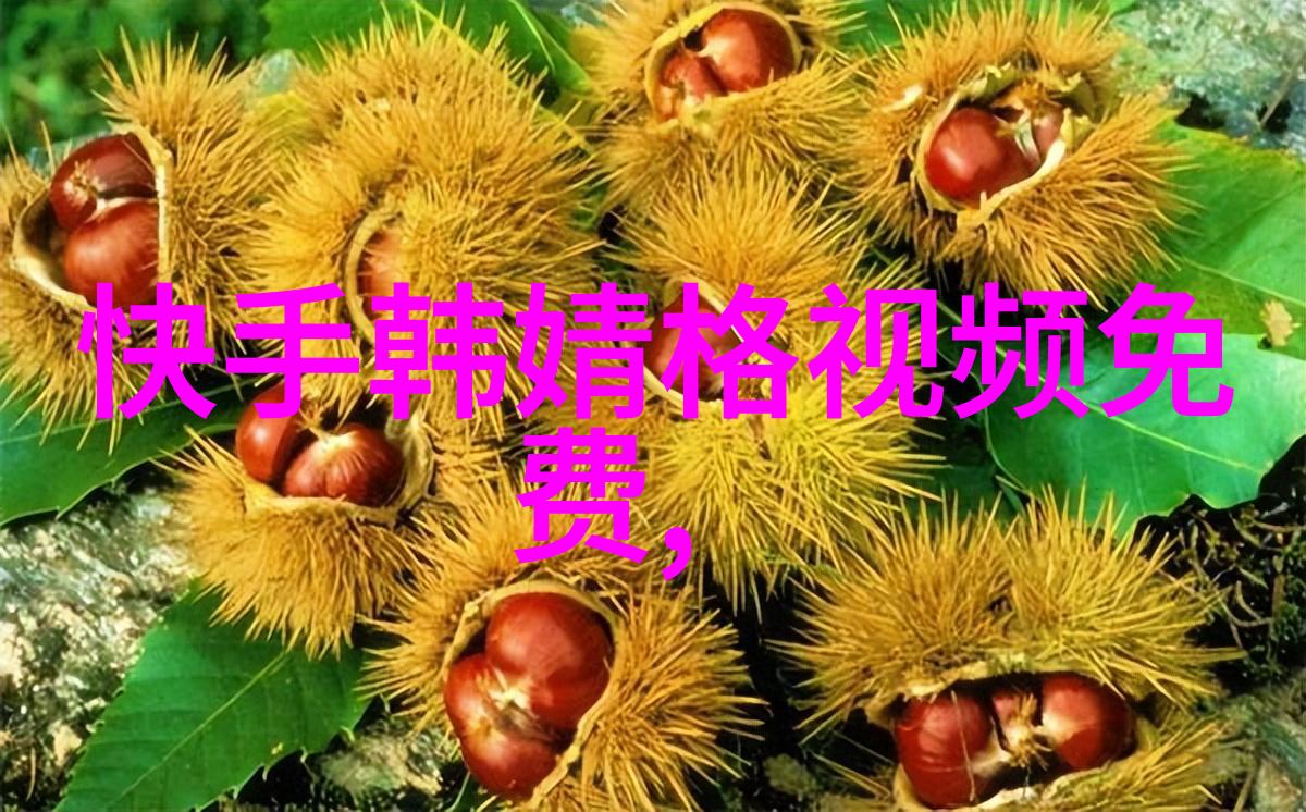青春娱乐极致盛宴青春爆笑激情音乐精彩互动