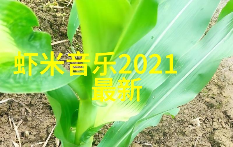 青春偶像与温婉影后肖战杨紫的爱情故事