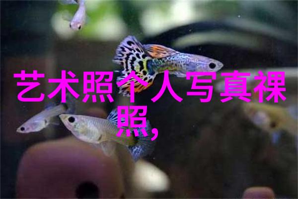 现代爱情时尚画卷捕捉浪漫瞬间的摄影艺术