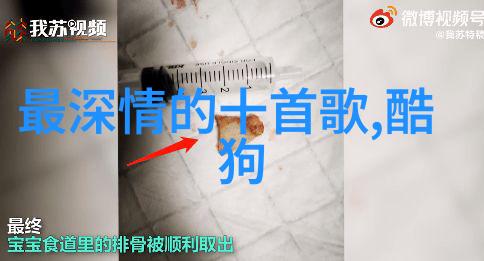 神马电影我和神马电影的那些事