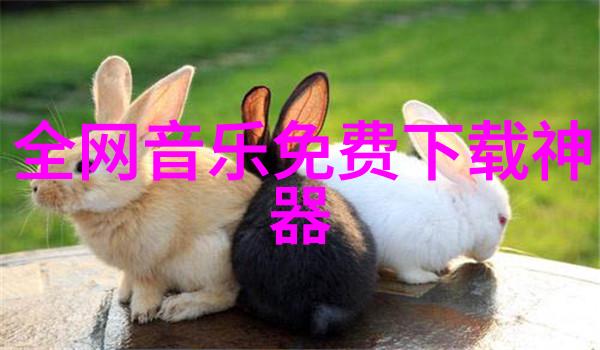 复仇与挑战女主重生后如何面对那些曾经伤害过她的敌人