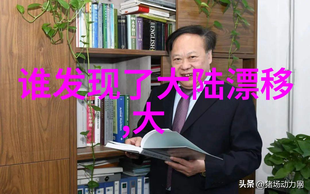 经济发展与资源分配问题在未来的超级大陆中解决方案探讨