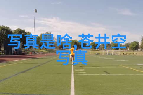 探究两大陆的差异亚欧大陆与南极洲的对比分析