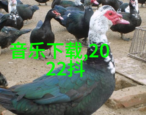 鸡爪故事-一份鸡的无尽饕客10个鸡爪的秘密