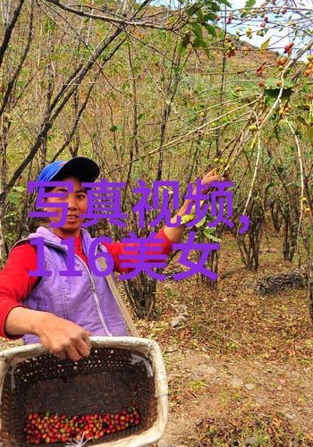 娱乐新闻-明星网名人隐私与公众关注的双刃剑