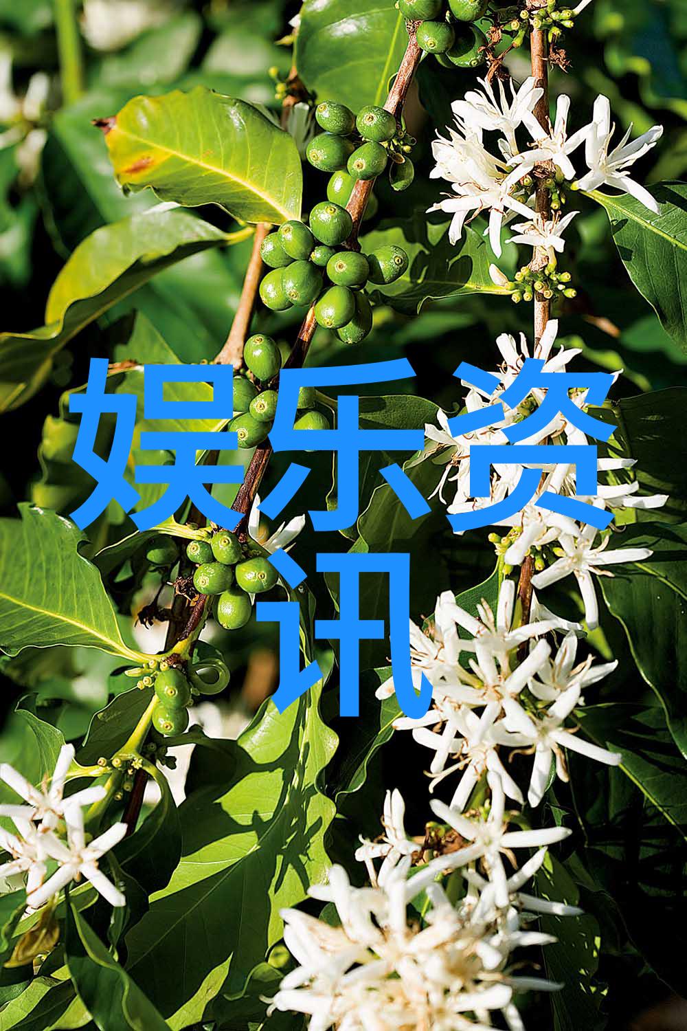 镜头下的意境探索Pans写真艺术世界