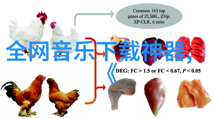 准备先对开火-军事演习前的最后检查确保战术部署的完美