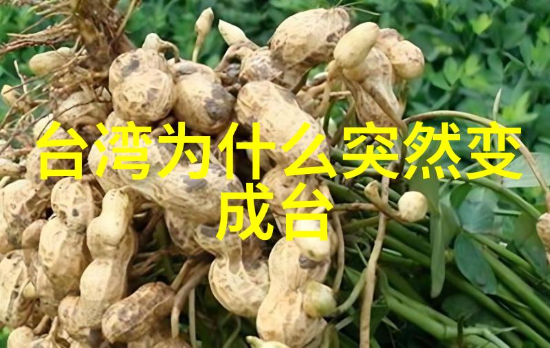 后天八卦的真正秘密揭秘后宫八卦背后的真相