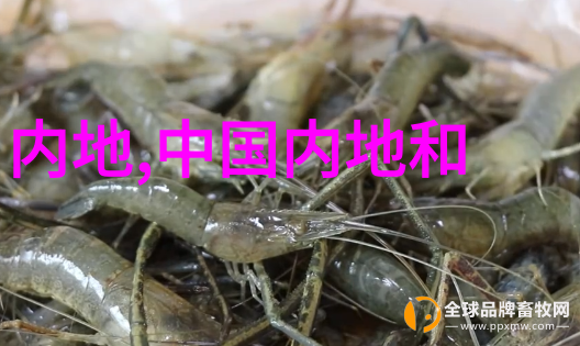 娱乐圈头条明星新剧预告热映娱乐圈最新消息明星新作品亮相