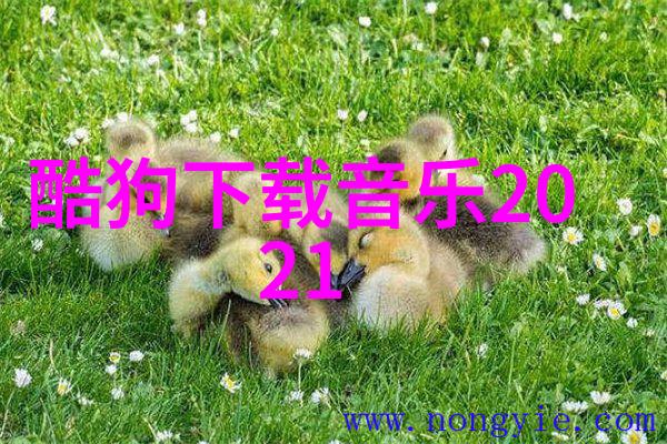 时代少年团综艺节目有哪些青春舞台上的闪耀篇章