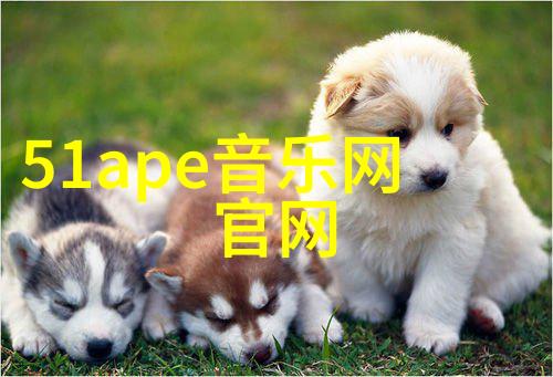 精美图片壁纸唯美我心中的画卷如何用简约风格装饰你的手机桌面