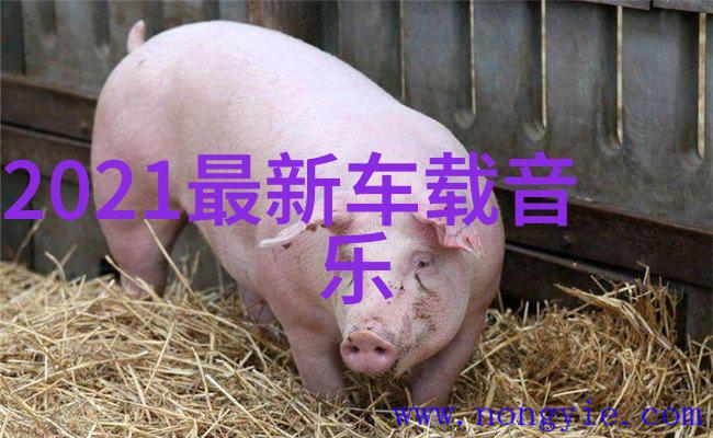 娱乐场所管理办法 - 规范夜生活深入解读娱乐场所新管理办法