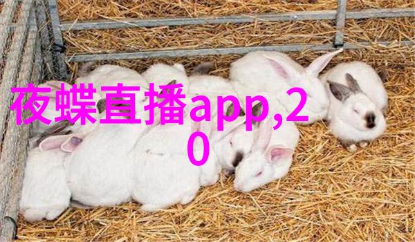 整垮前男友 电视剧 - 爱的反弹一段关于复仇与自我觉醒的电视剧探索