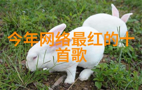 赵丽颖的瓜田里421页吃瓜文件揭秘